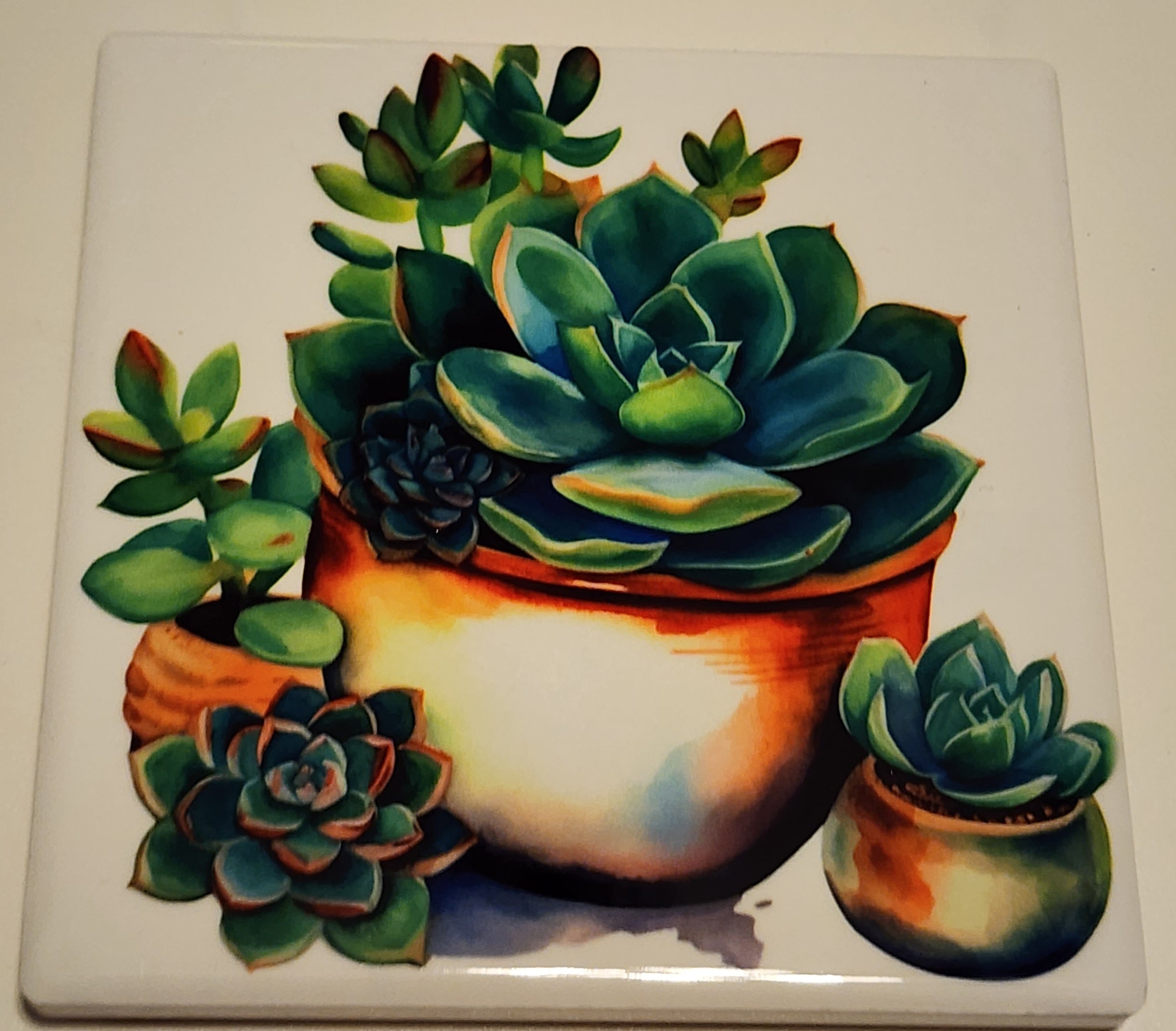 Succulent Ceramic Coasters