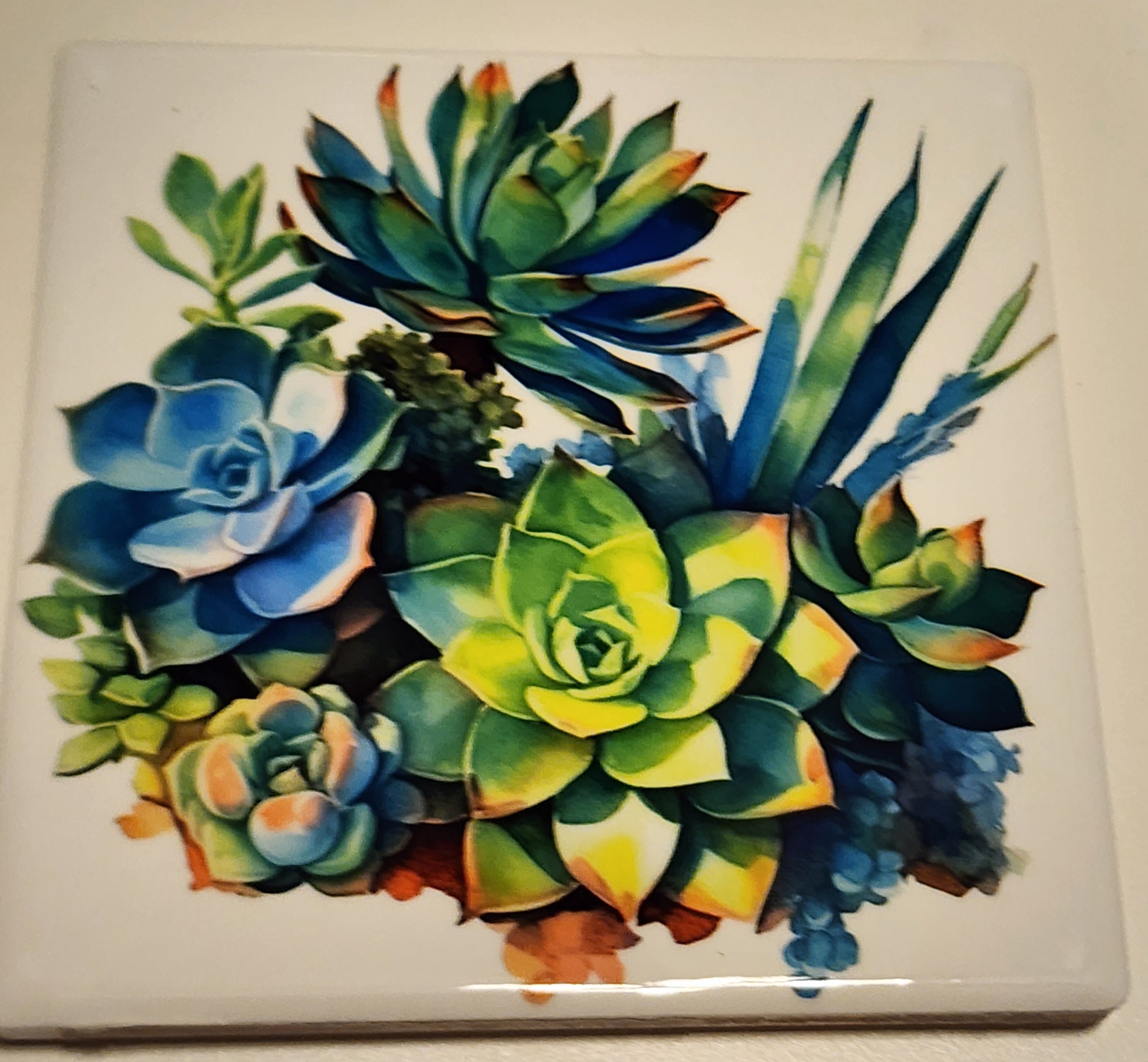 Succulent Ceramic Coasters