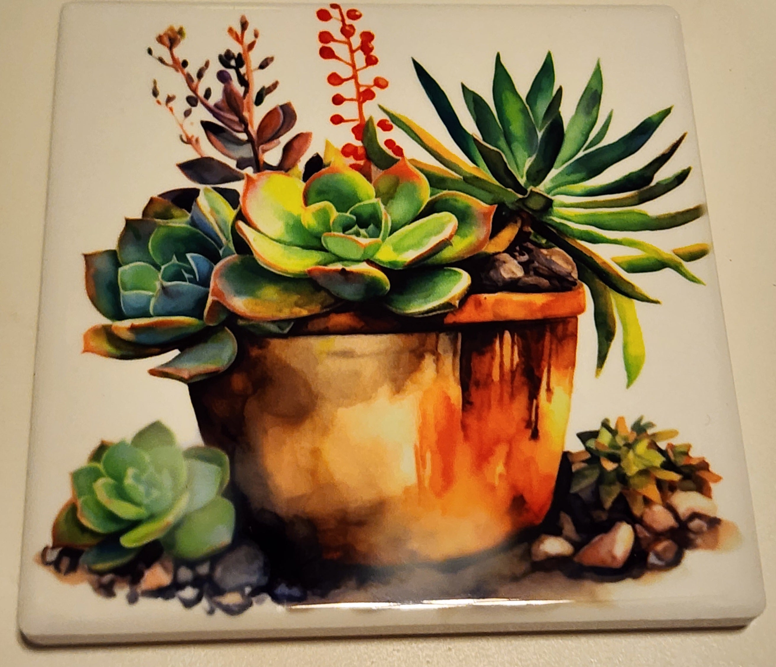 Succulent Ceramic Coasters