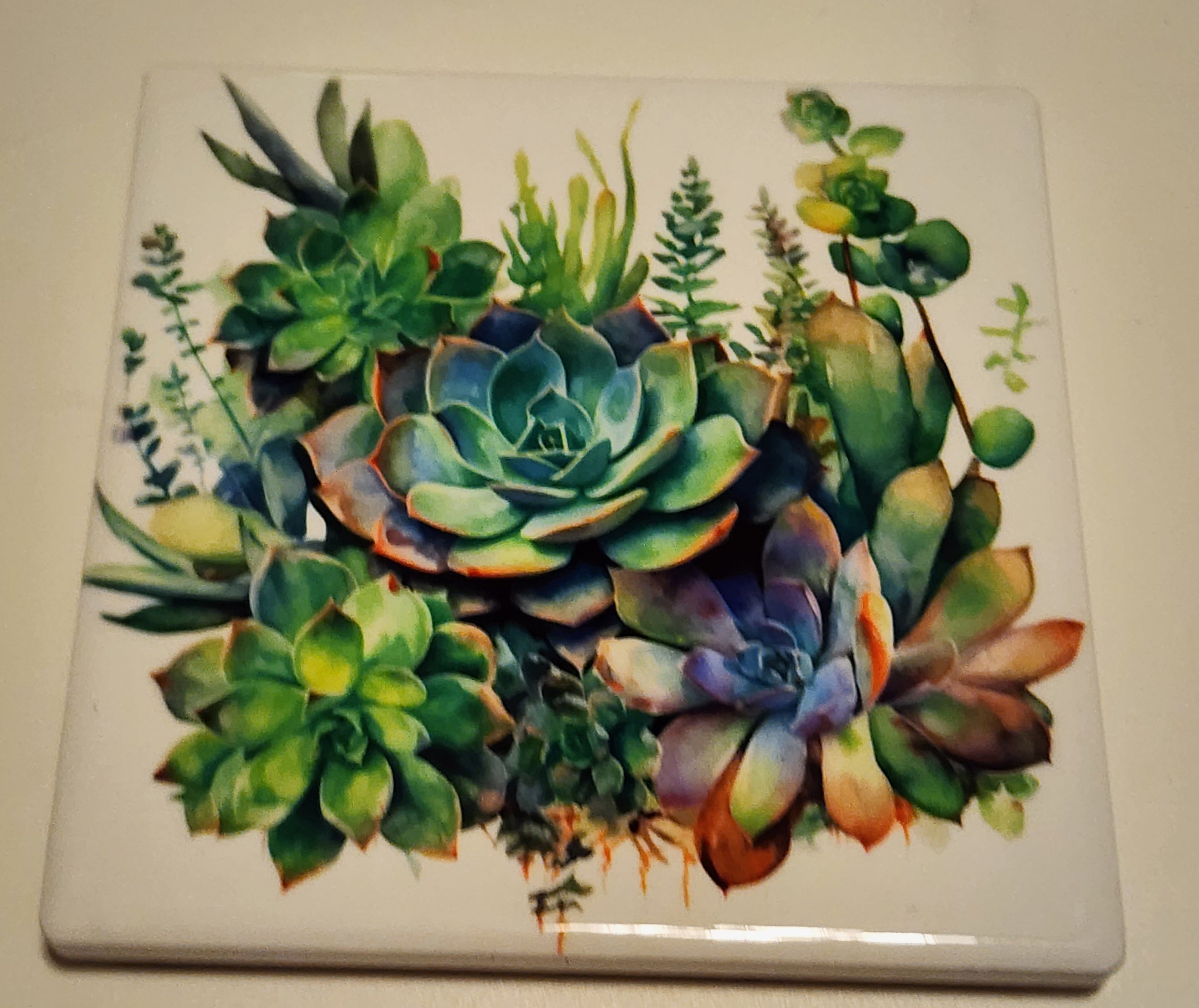 Succulent Ceramic Coasters