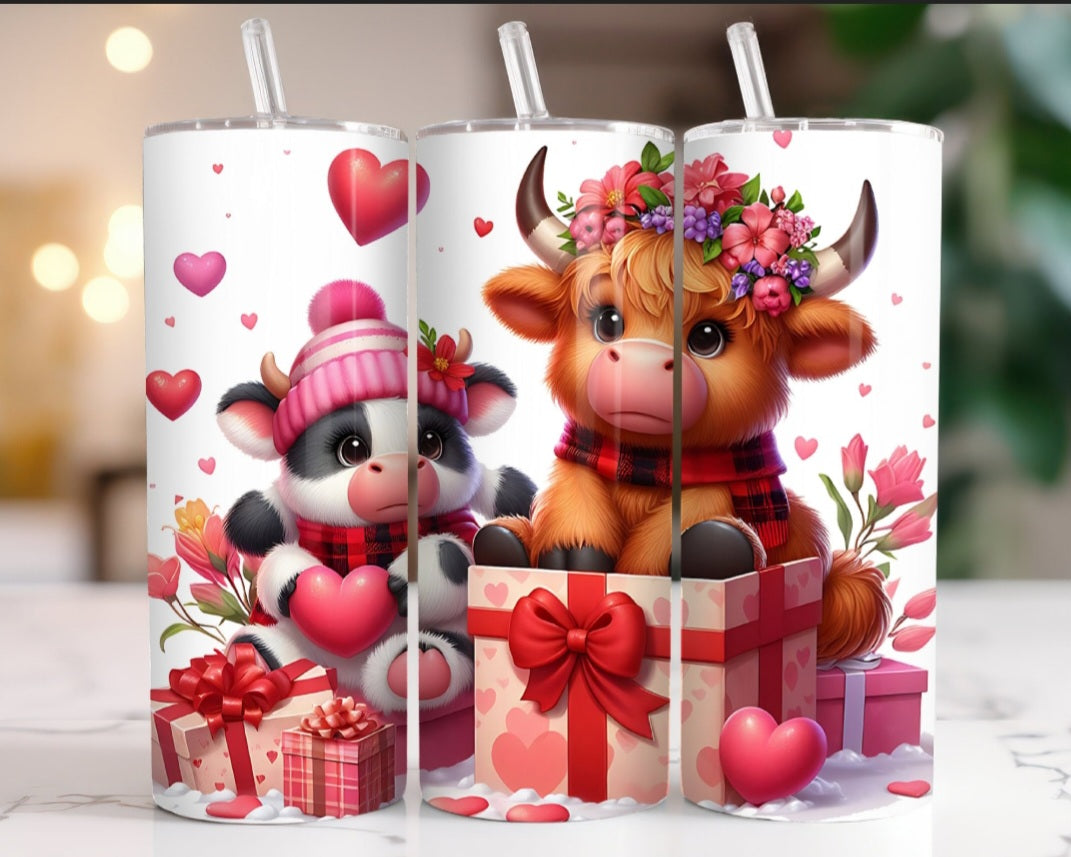 Cows with Gift